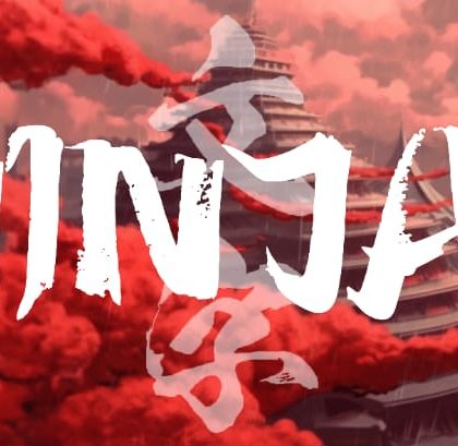 The Ninja Way