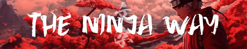 The Ninja Way